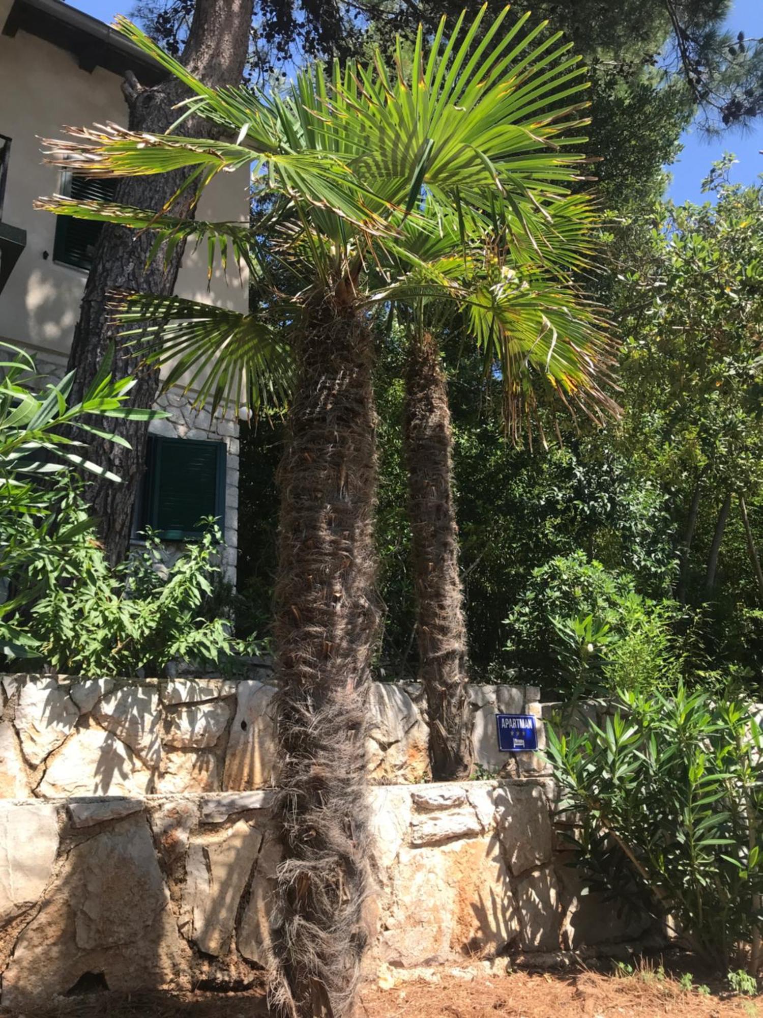 Apartment Sunshine Mali Lošinj Exteriér fotografie