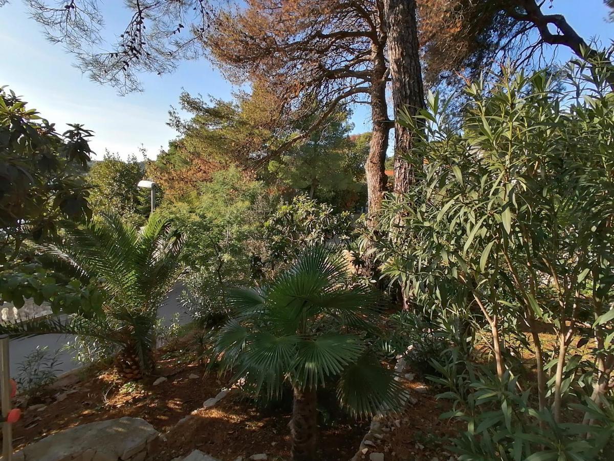 Apartment Sunshine Mali Lošinj Exteriér fotografie