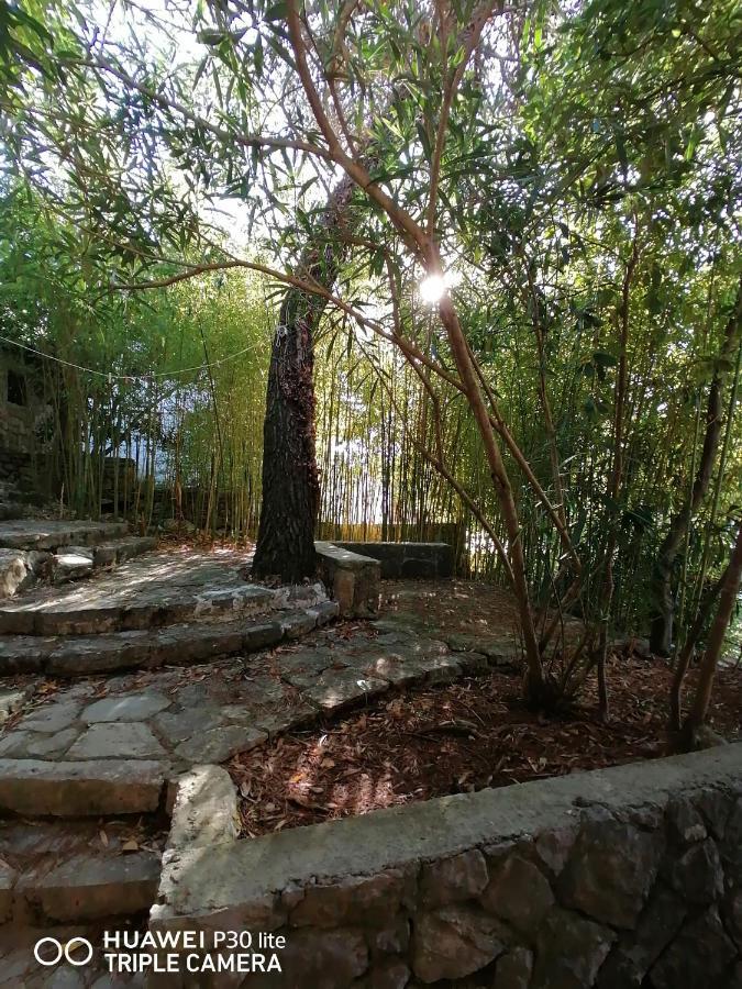 Apartment Sunshine Mali Lošinj Exteriér fotografie
